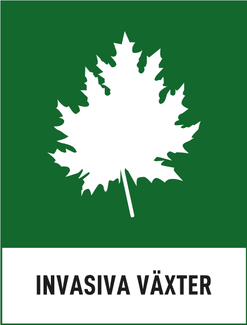 Invasiva växter