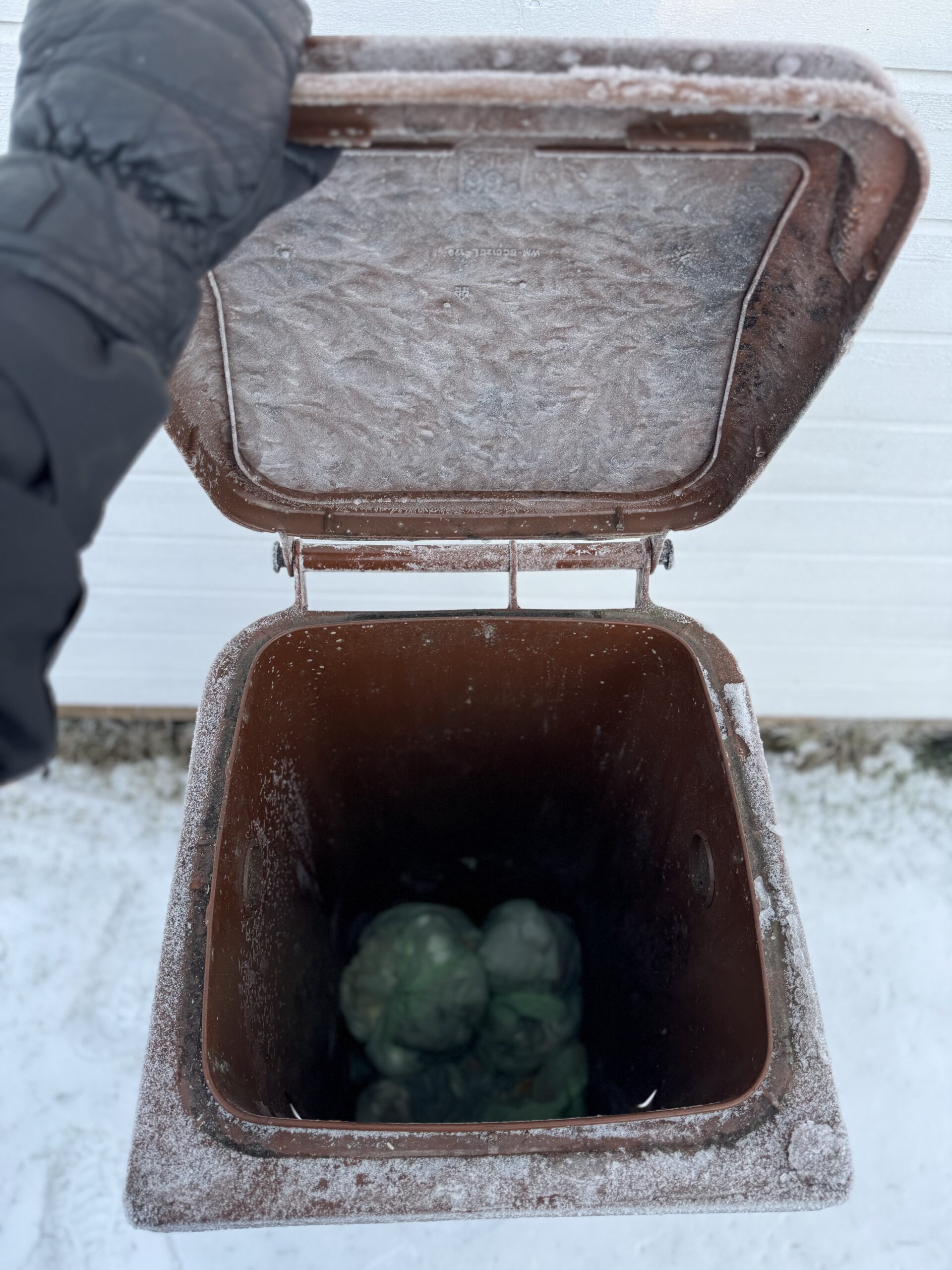 Fastfruset matavfall i bruna kärlet. 